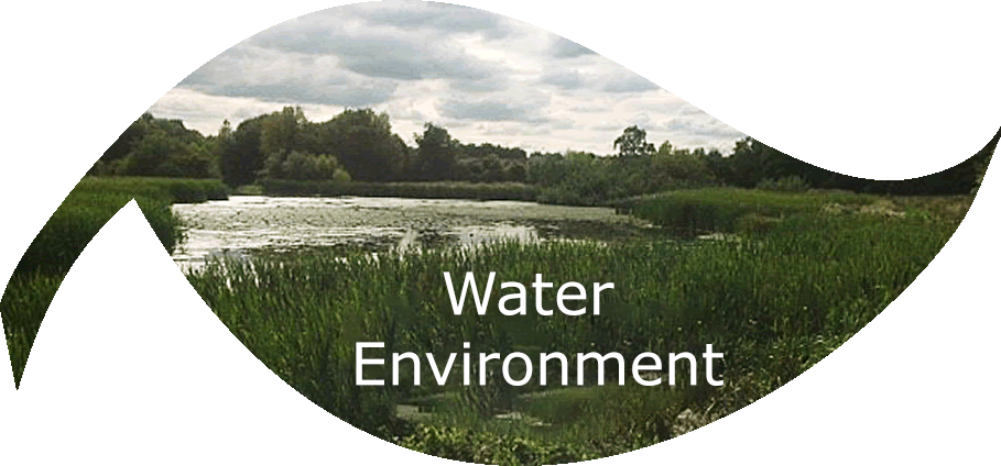 Water Environment